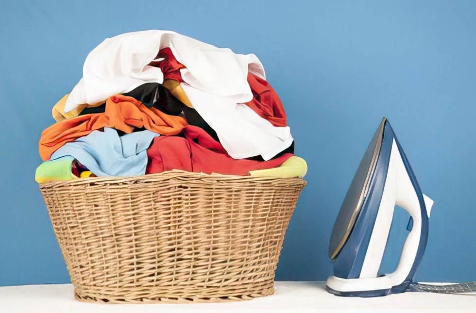 Recensione Polti Vaporella Express VE30.10